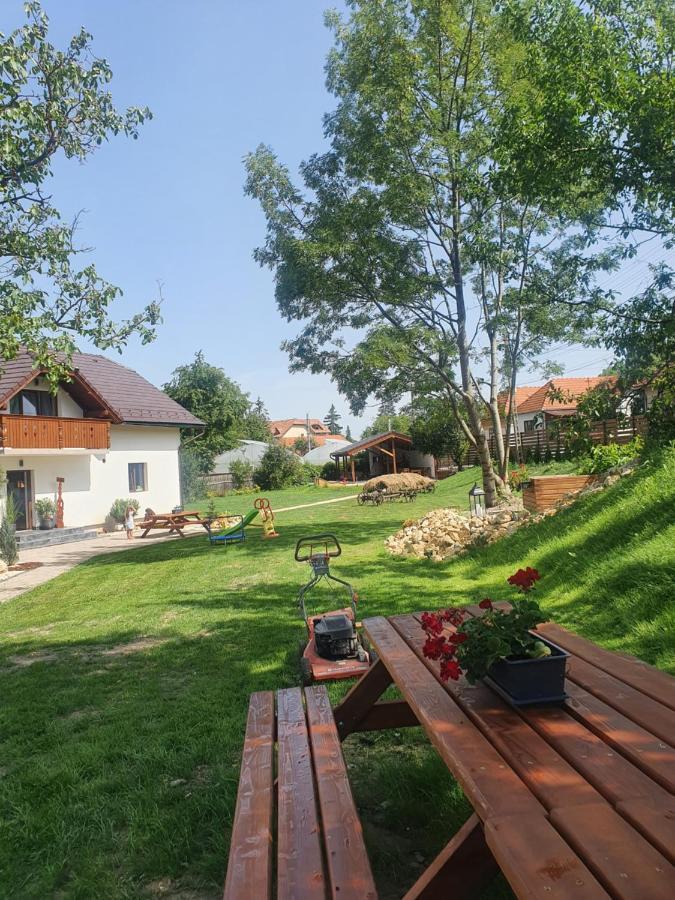 Pensiunea Transilvania Ковасна Екстериор снимка